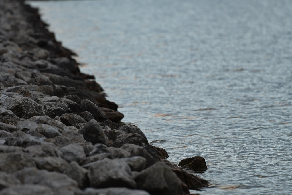 2018-12-07 France/Aix-Les-Bains/DSC_7826.JPG